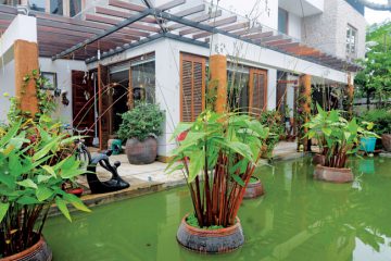 Tư vấn thiết kế xây nhà có nhiều cây xanh